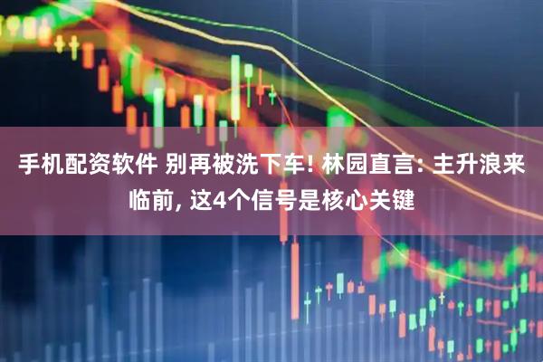 手机配资软件 别再被洗下车! 林园直言: 主升浪来临前, 这4个信号是核心关键