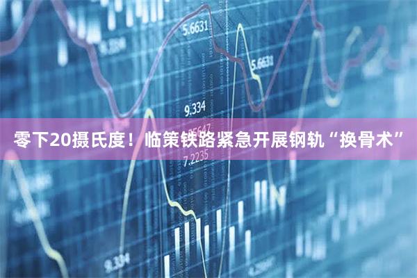 零下20摄氏度！临策铁路紧急开展钢轨“换骨术”
