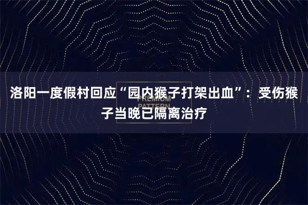 洛阳一度假村回应“园内猴子打架出血”：受伤猴子当晚已隔离治疗