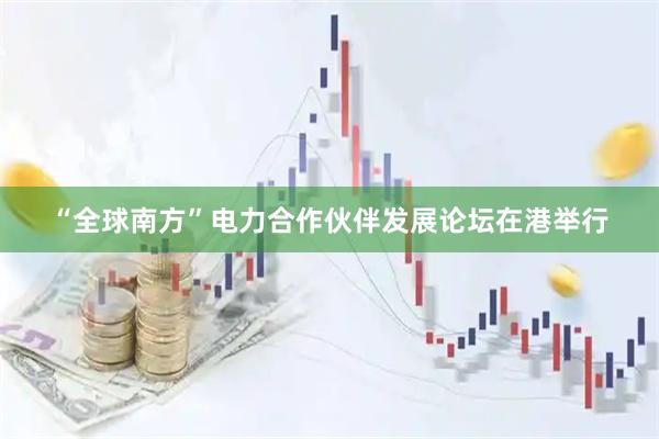 “全球南方”电力合作伙伴发展论坛在港举行